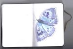 Watercolour - Sketchbook Butterfly