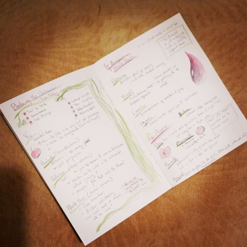 Notes on the plants of the Underworld talk with watercolour doodles noted in caption - Mostly illegible text.