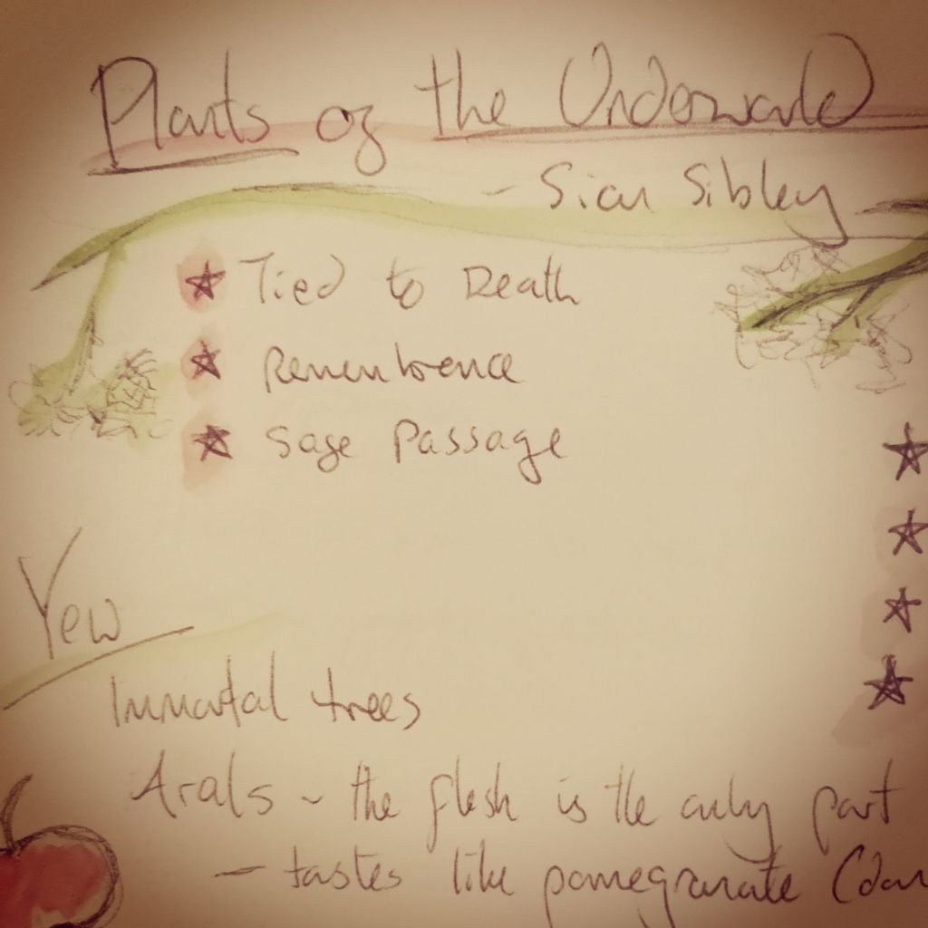 Plants of the Underworld - Sian Sibley - Tied to Death, Remembrance, and Safe Passage .Photo of scrawled conference notes with doodled branch and pentagrams as bullet points, with the subtitle: Yew - Immortal trees.